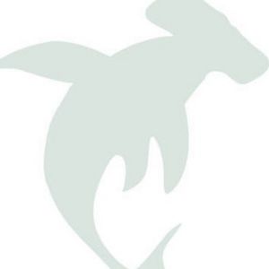 Meet your Posher, Helen